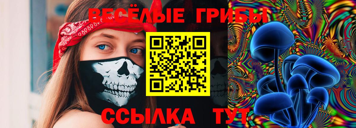 Белогорск  Галлюциногенные грибы Psilocybe  Вход с VPN 